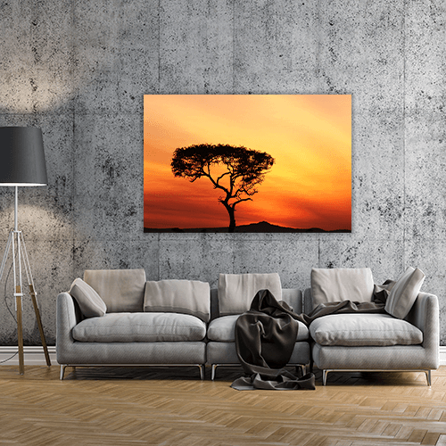 Sunset in a Tree