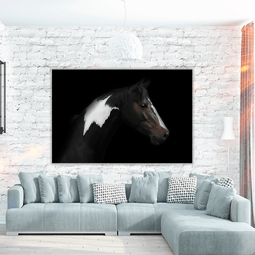 Skewbald Horse