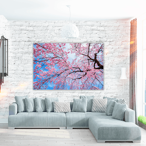 Sakura Season in Spring