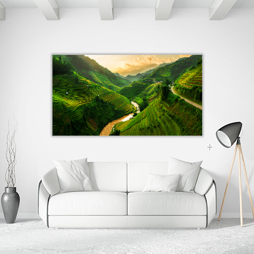 Rice Fields Vietnam