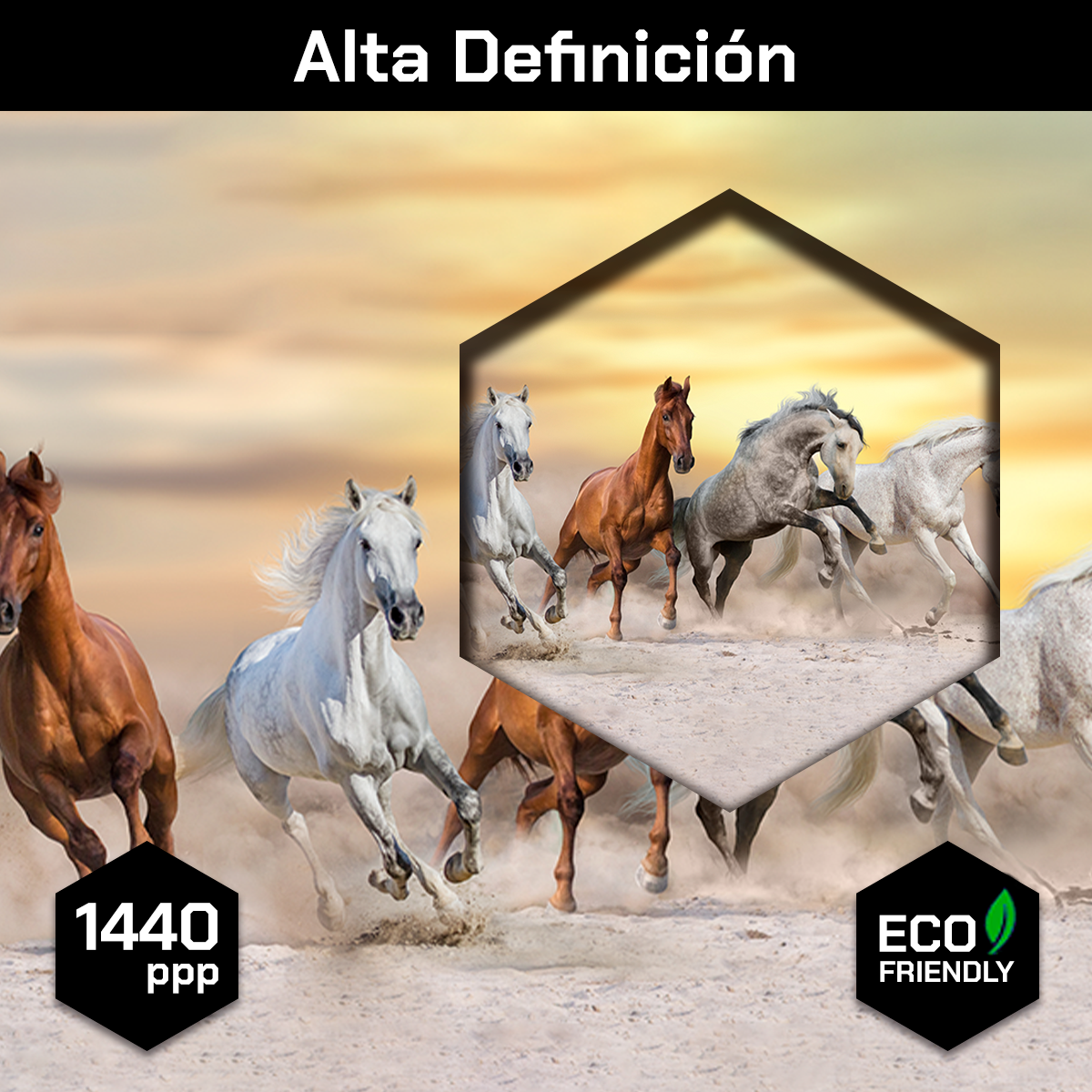 Caballos Bajo Al Atardecer