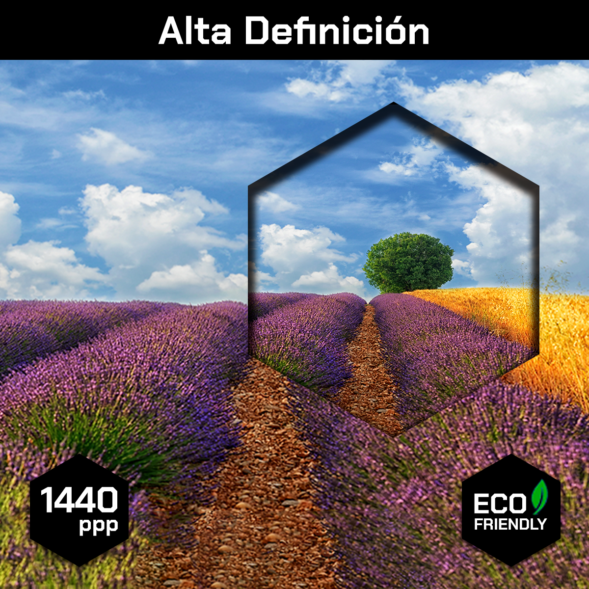 Campos Y Arbol