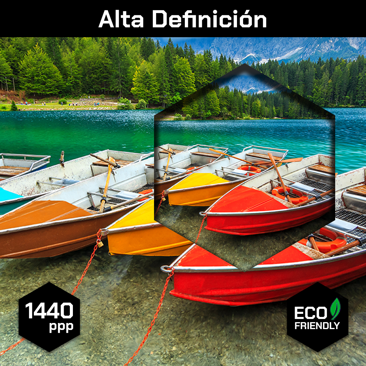 Botes Coloridos