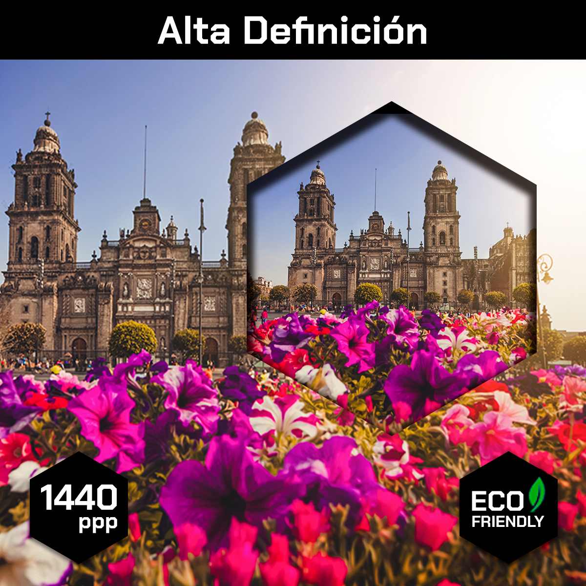 Catedral De Mexico CDMX