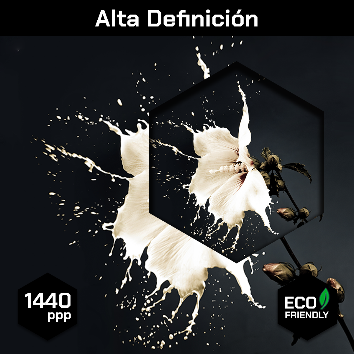 Flor Blanca de Pintura