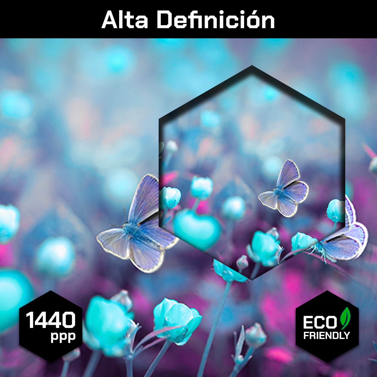 Flores Mariposas Azules