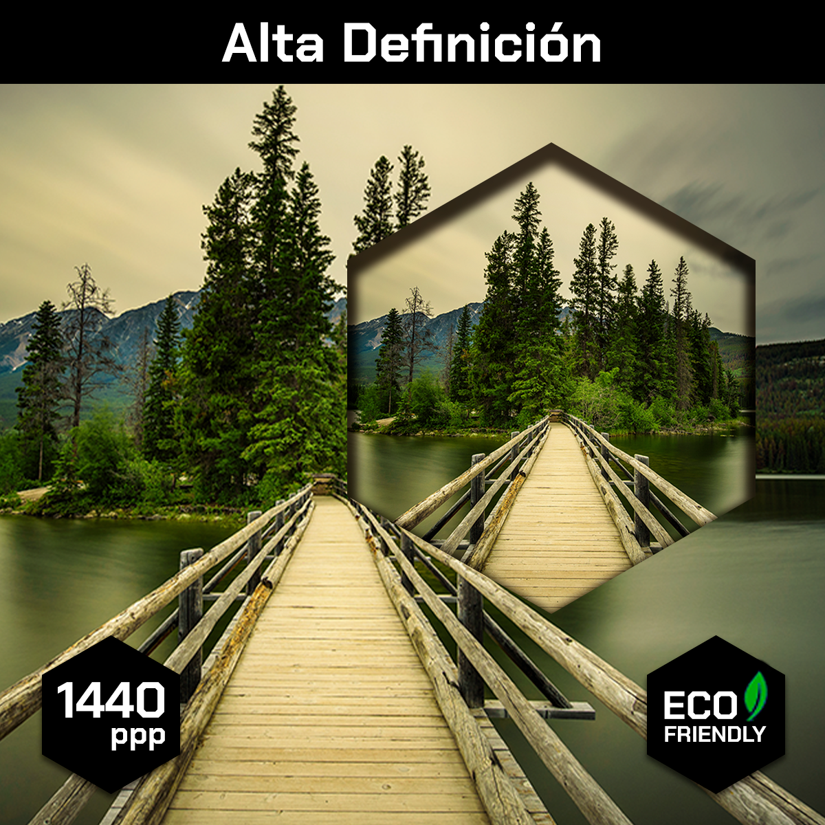 Lago Muelle En Verdes