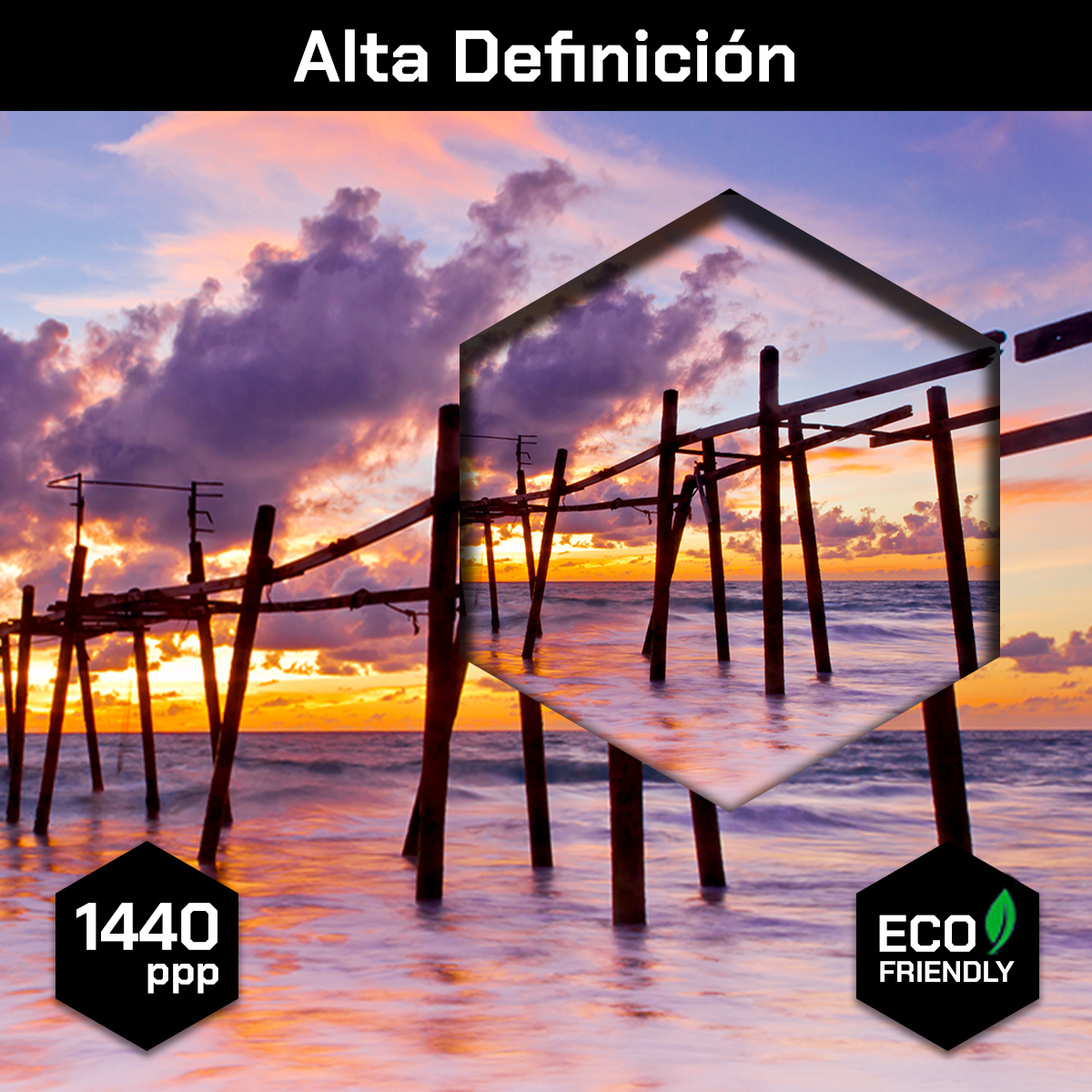 Playa Mar Puente Madera