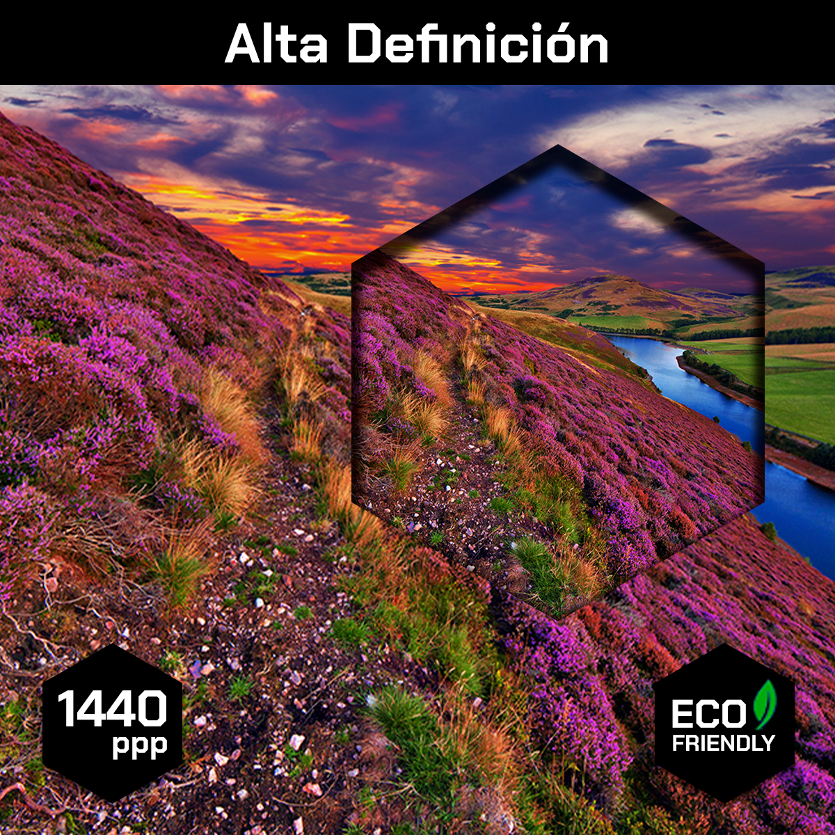 Montañas Escocesas Rosas