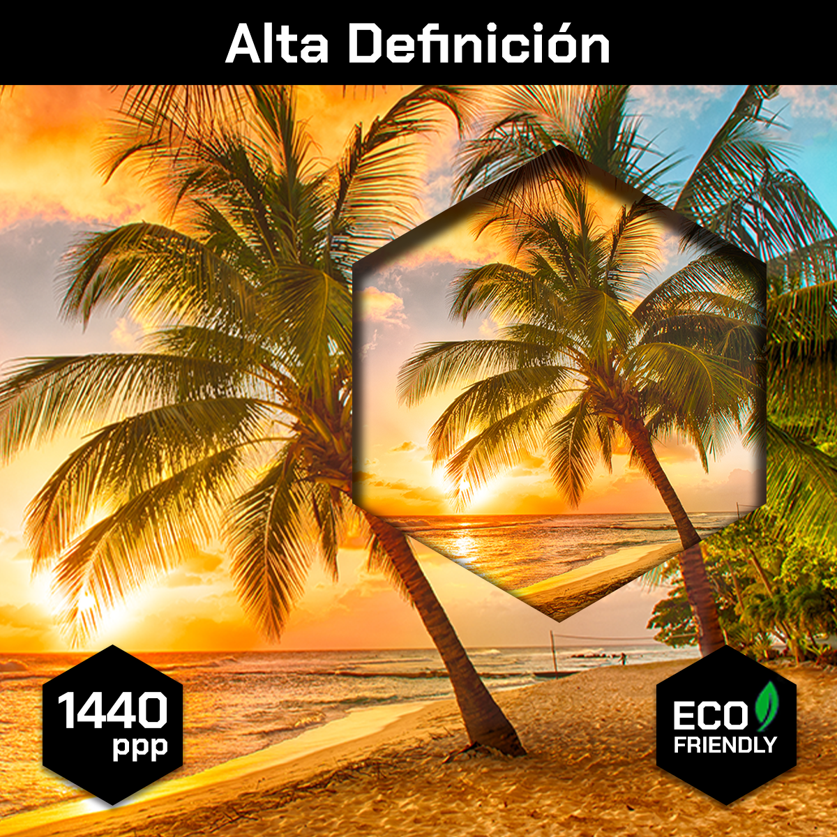 Playa Mar Palmera