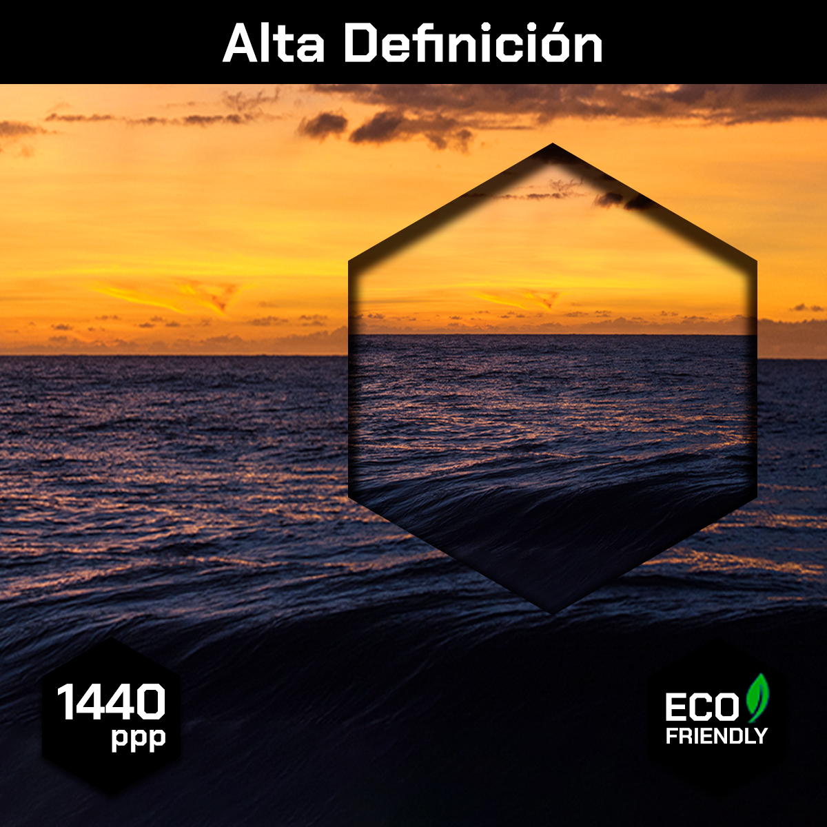 Playa Y Mar En Atardecer