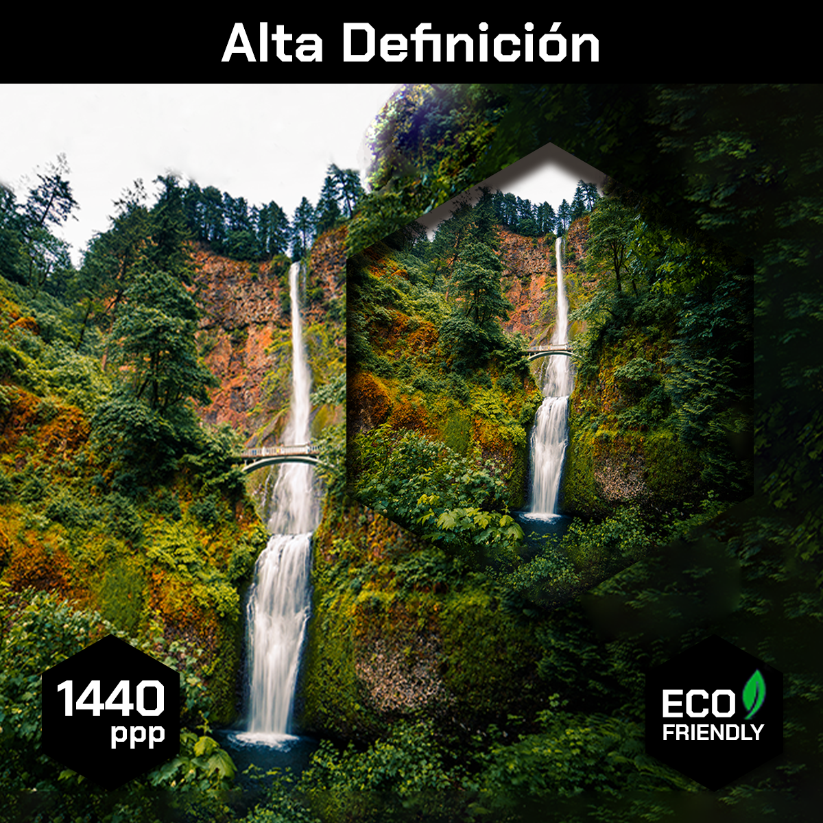 Puente Entre Cascada