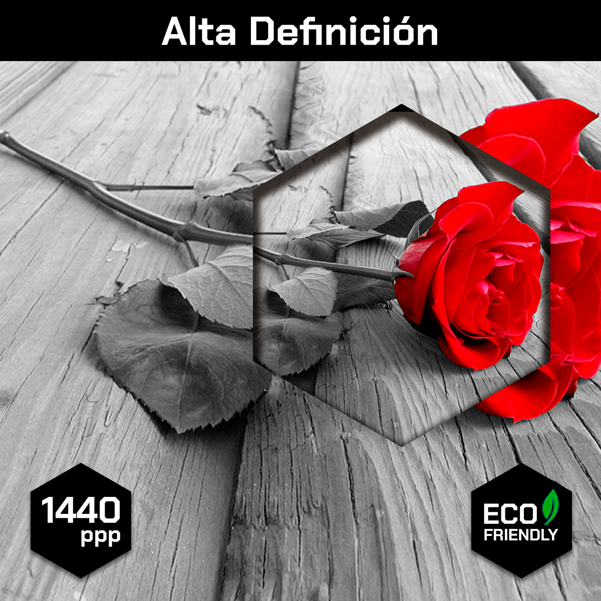 Rosa Roja Madera