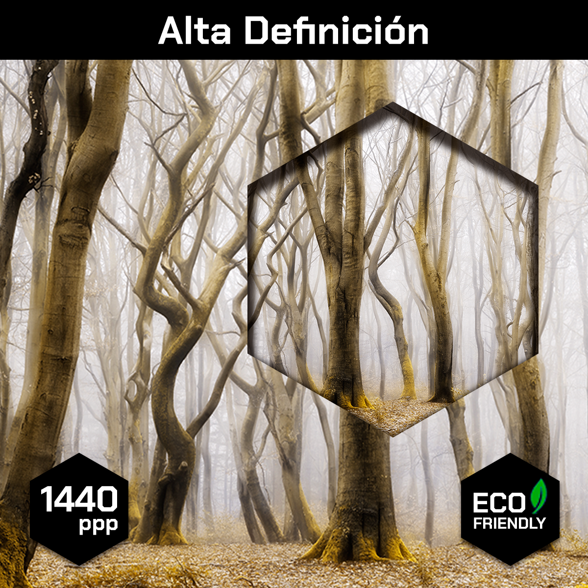 Troncos En Niebla