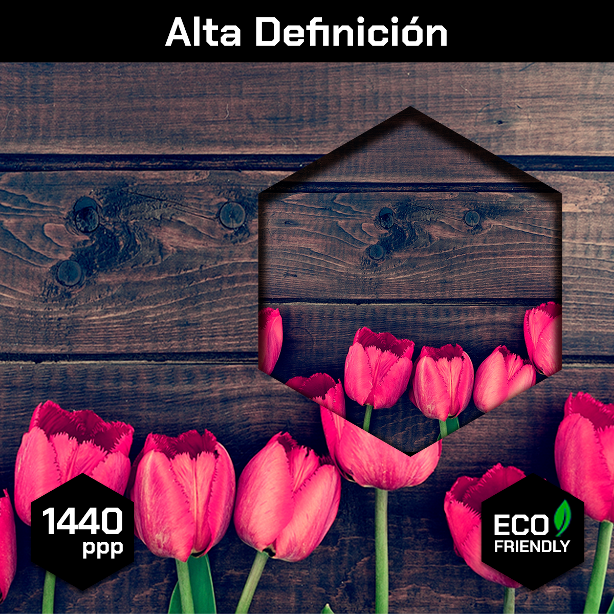 Tulipanes Rustic