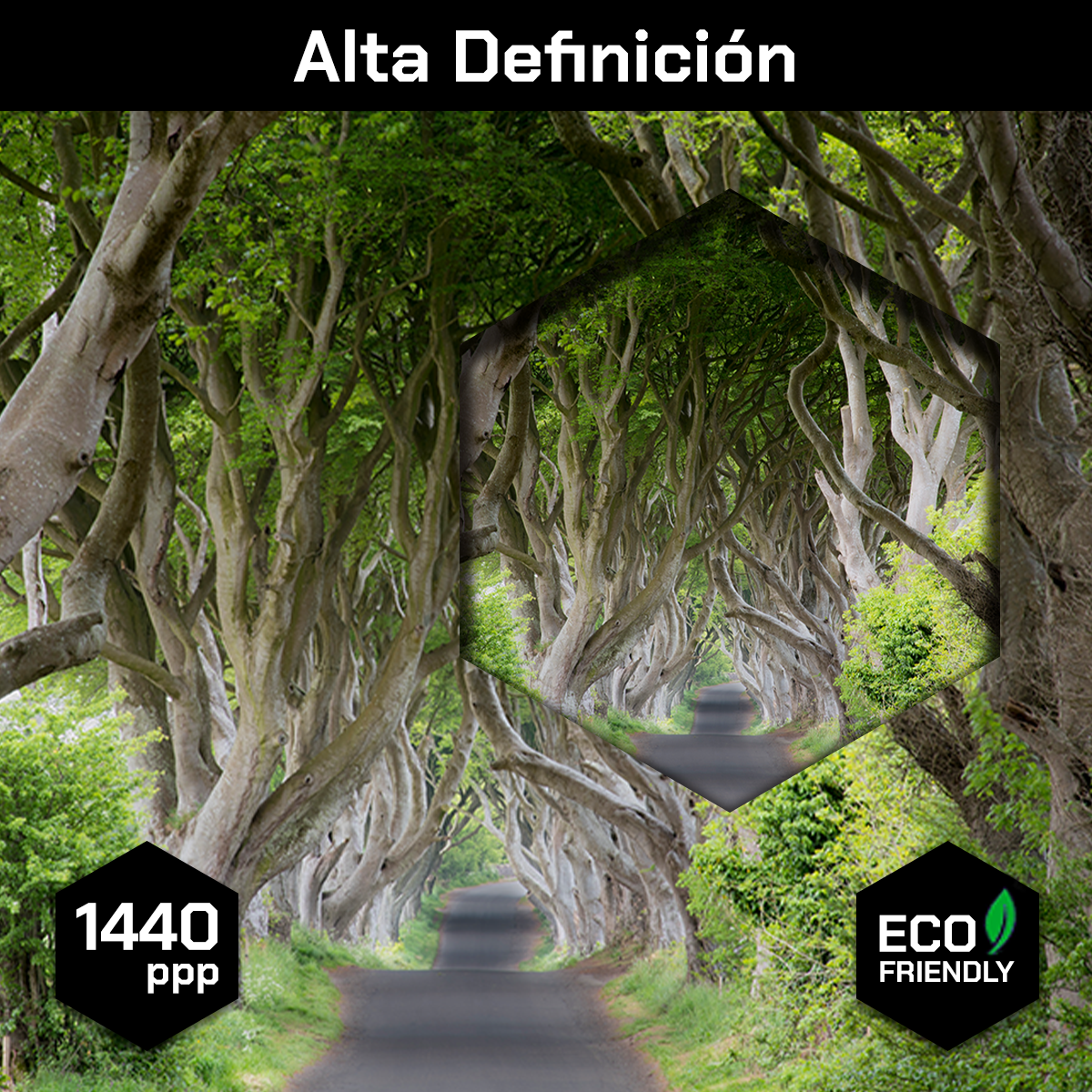 Tunel Psicodélico