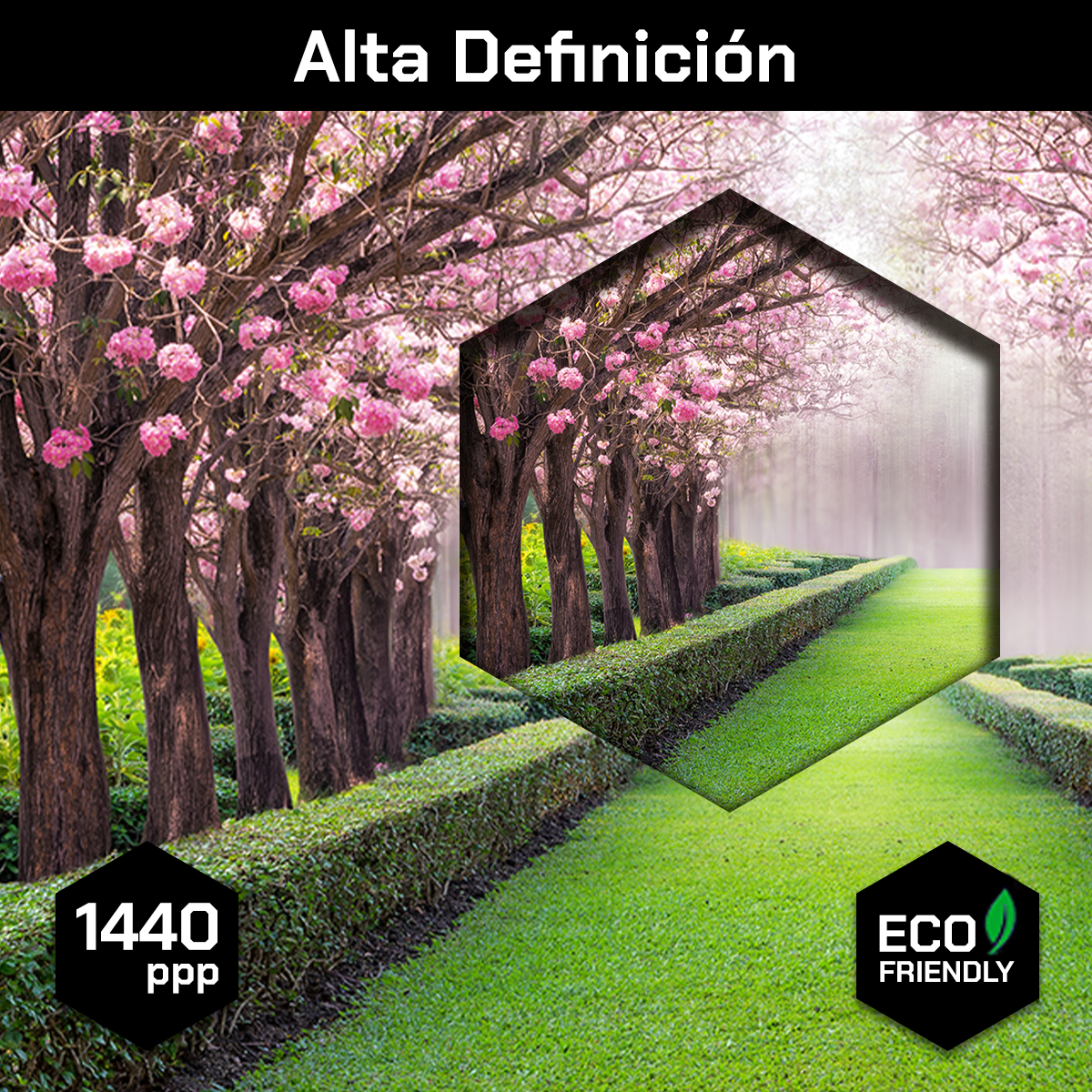 Tunel Romantico