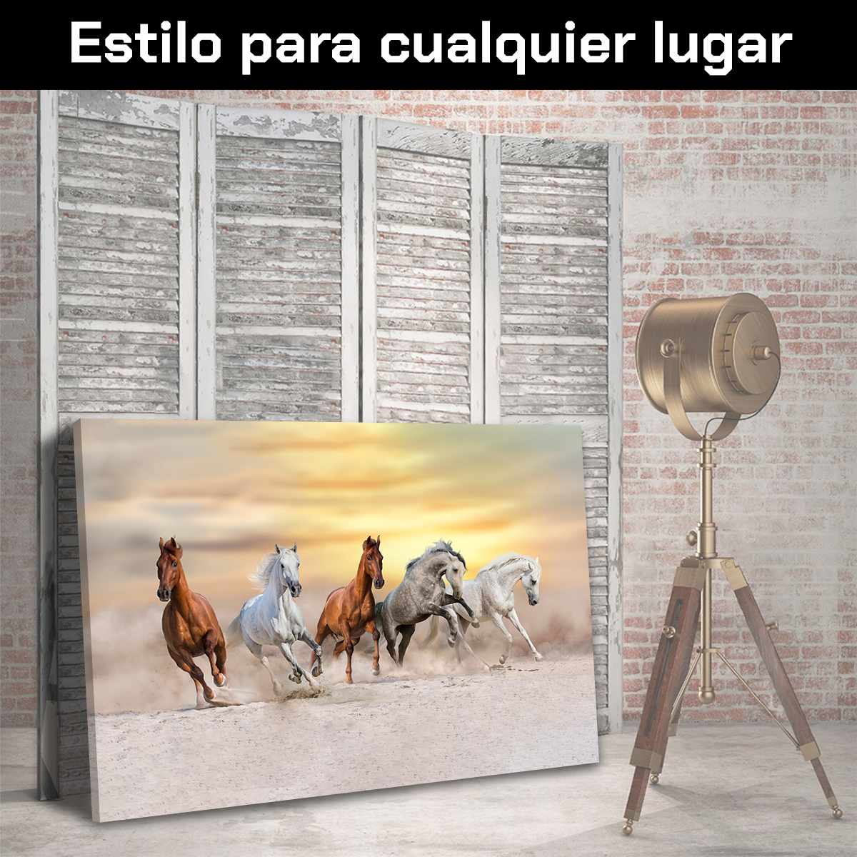 Caballos Bajo Al Atardecer