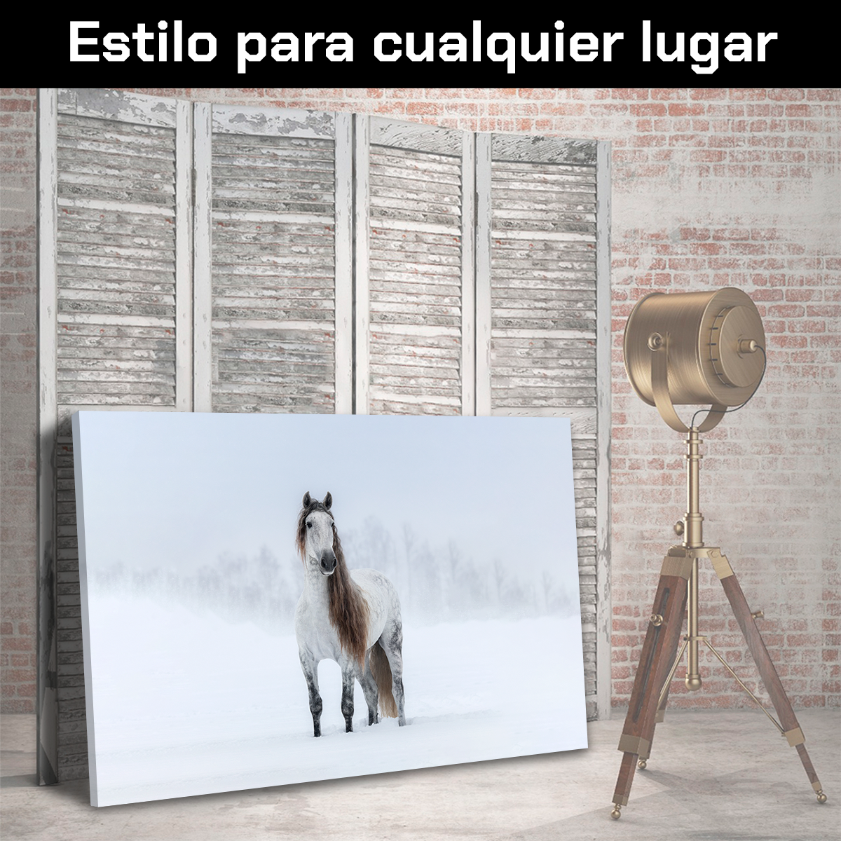 Caballo Bajo La Nieve