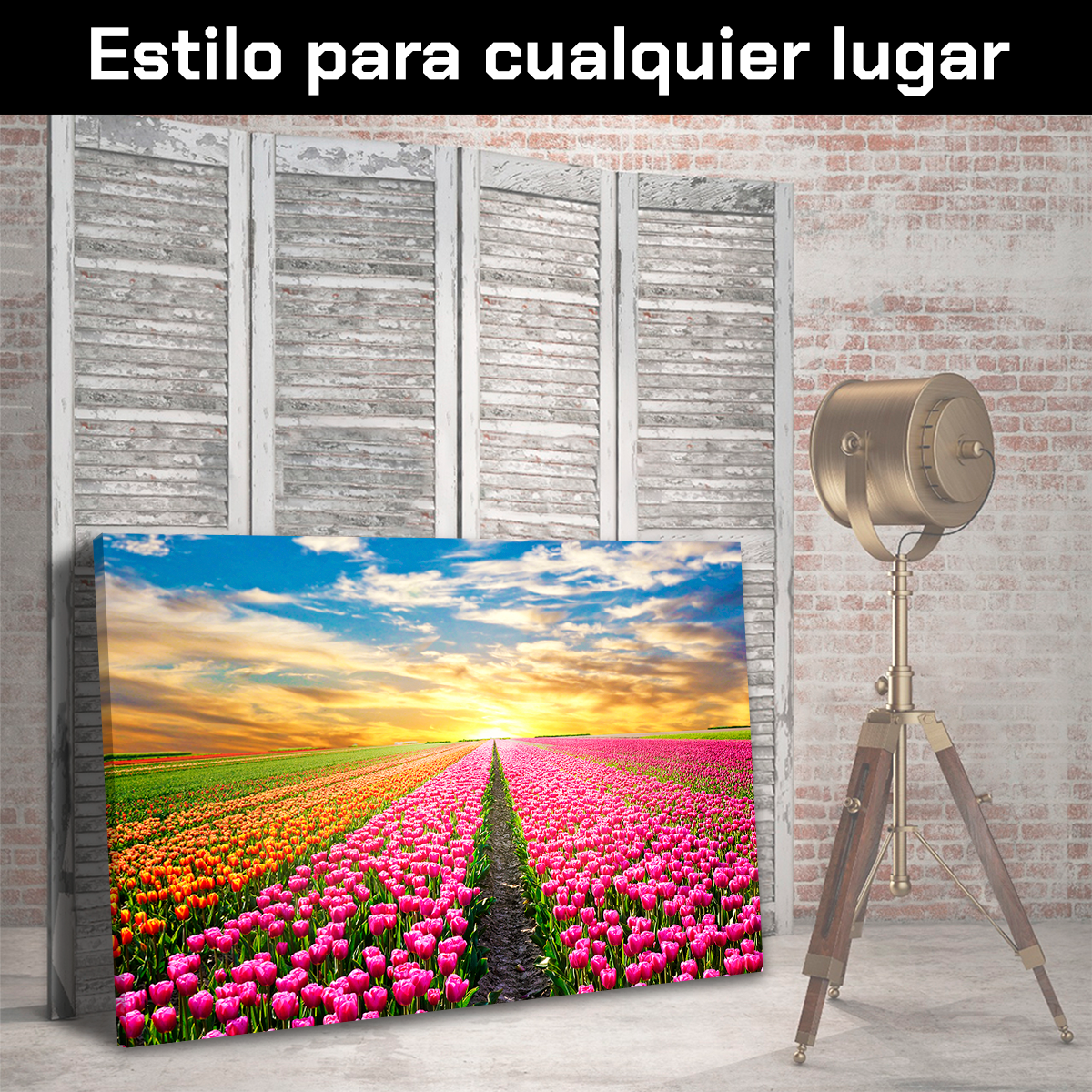 Campo De Tulipanes Rosados