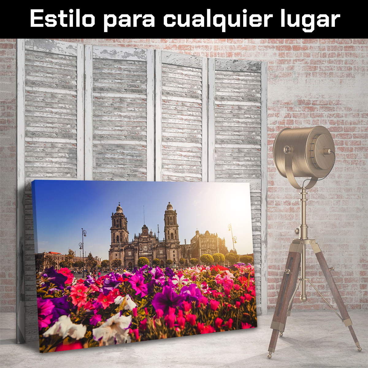 Catedral De Mexico CDMX