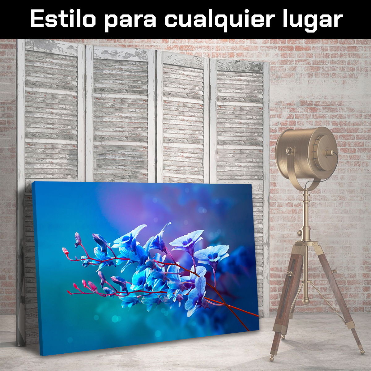 Orquideas Azules