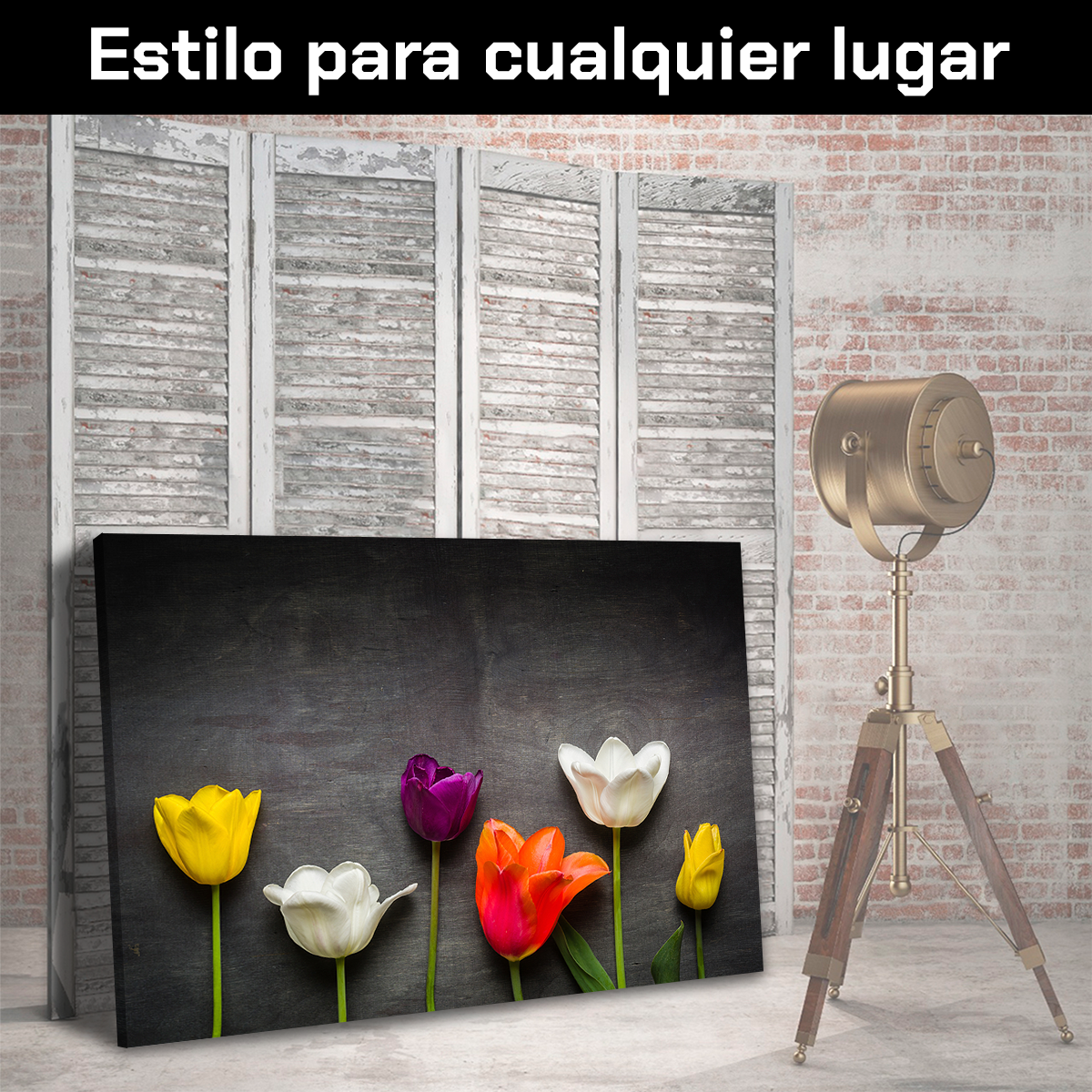 Tulipanes Negro