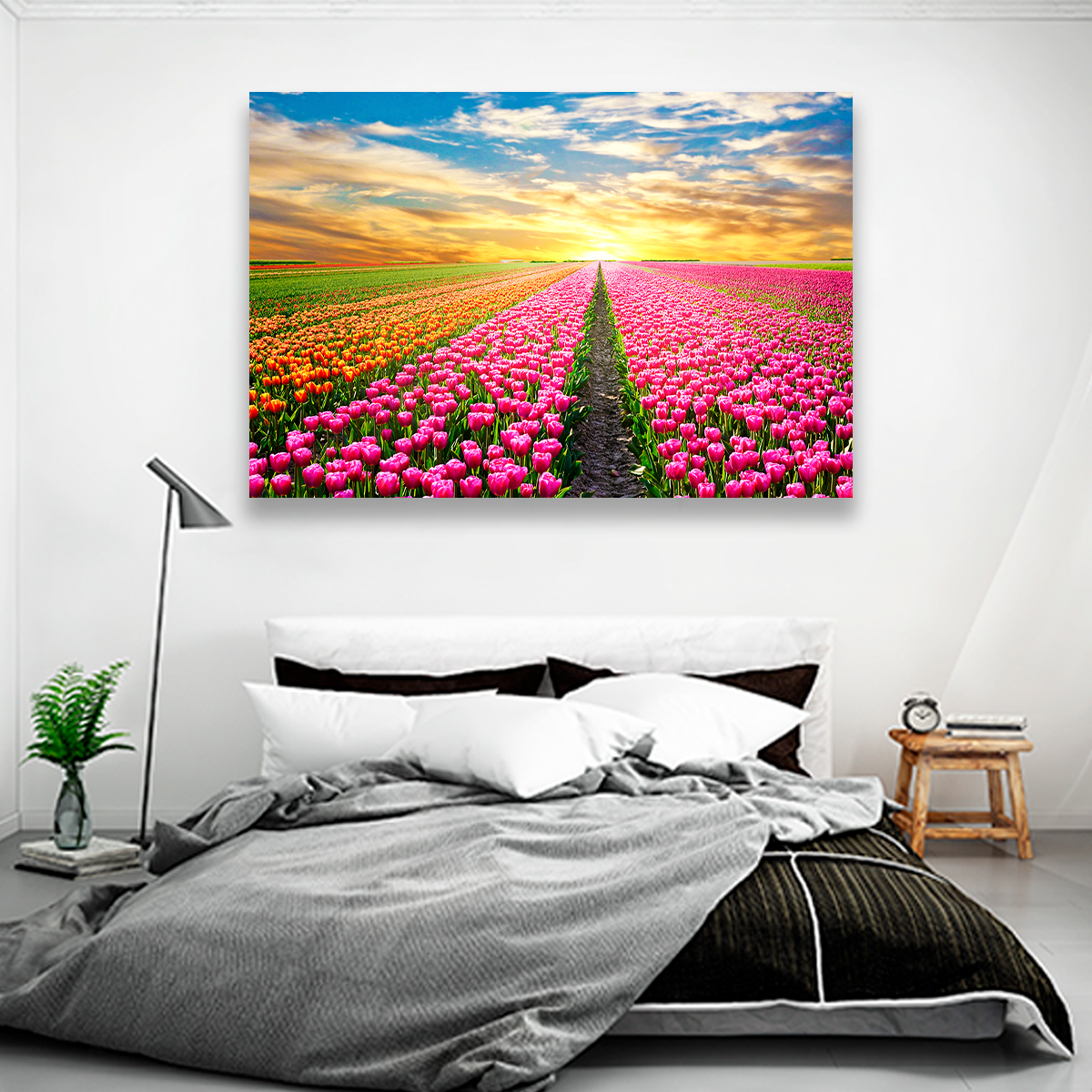 Campo De Tulipanes Rosados