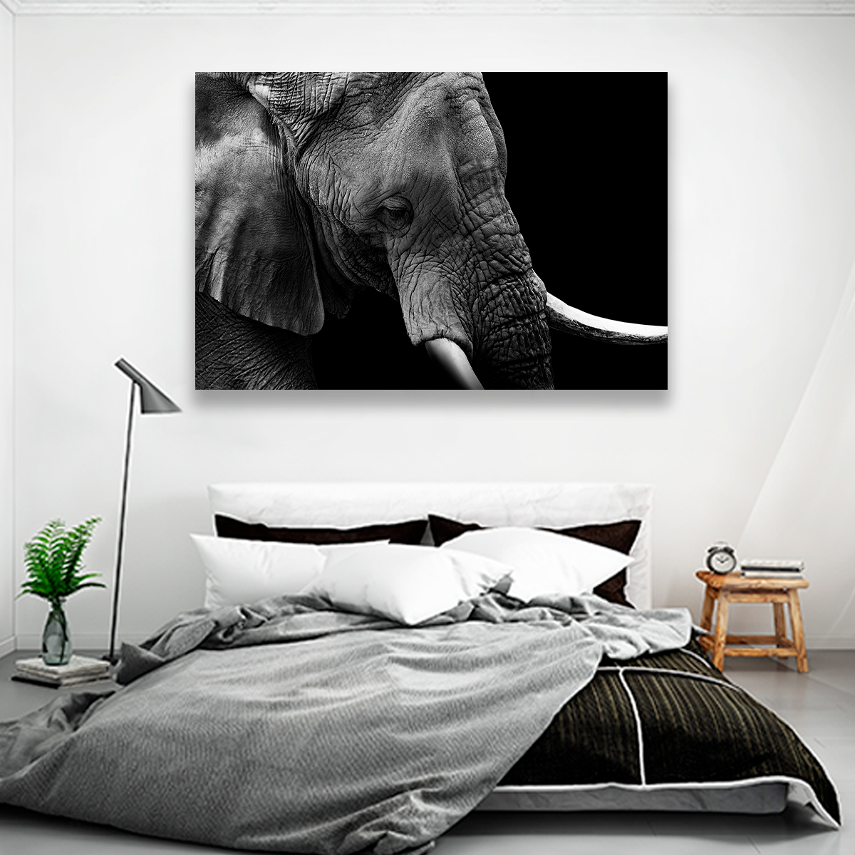 Elefante Retrato Perfil
