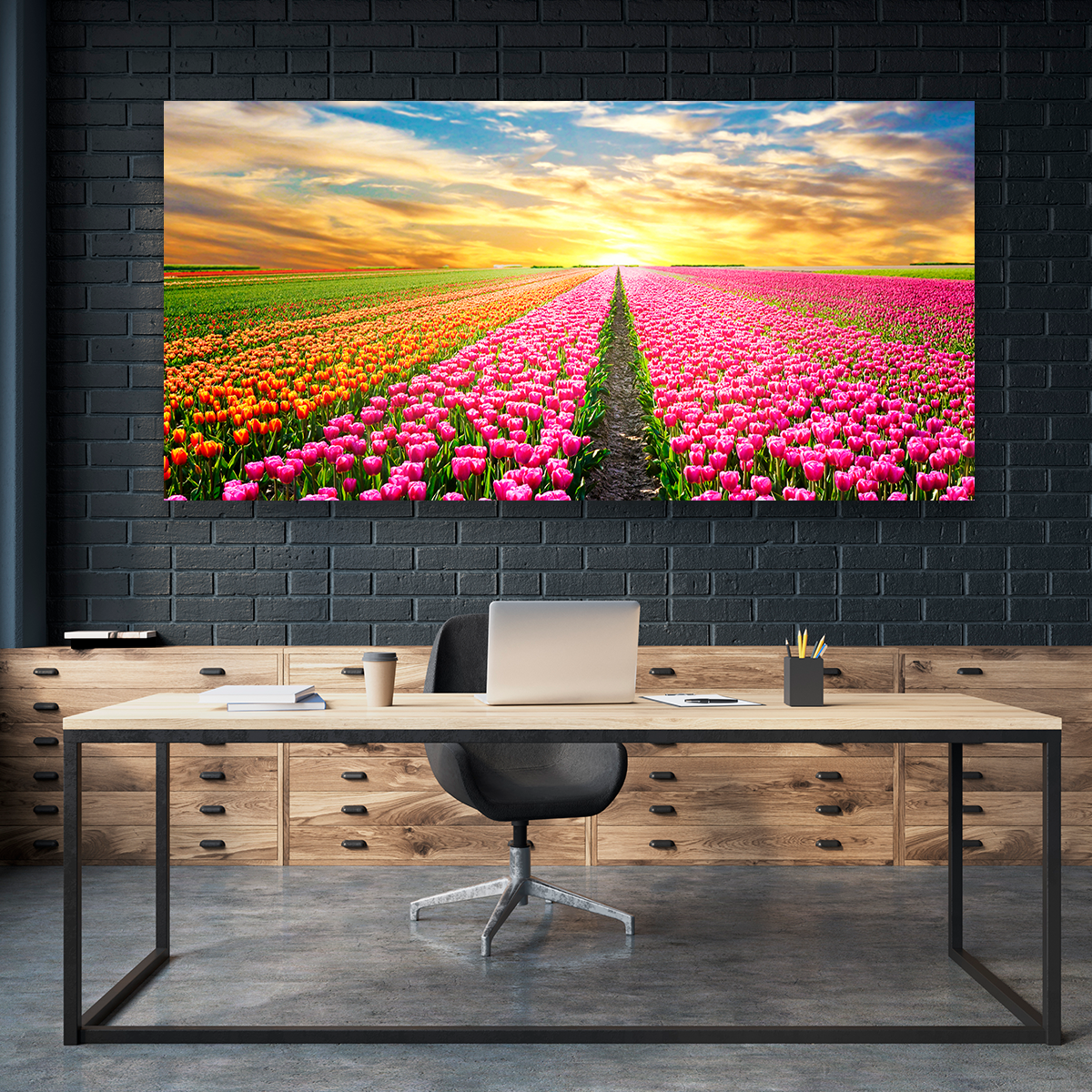 Campo De Tulipanes Rosados