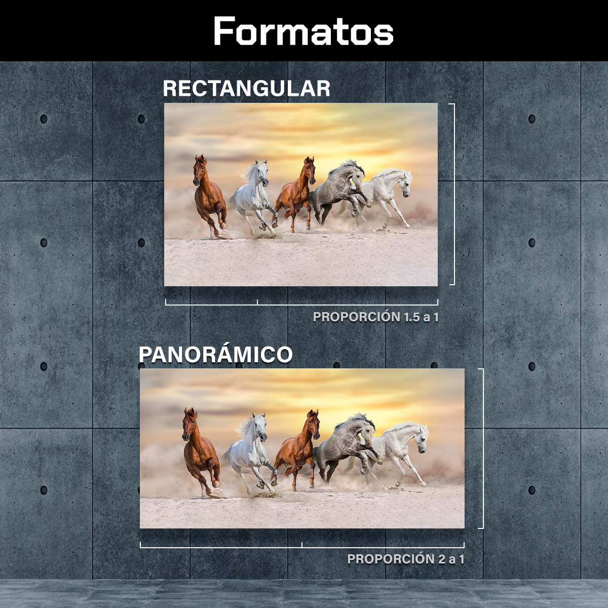 Caballos Bajo Al Atardecer