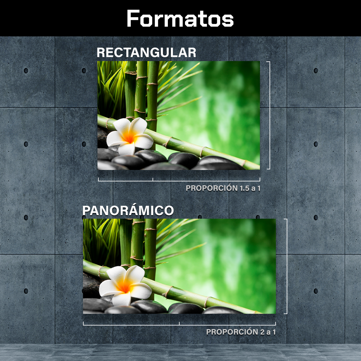 Bambu Y Flor Frangipani
