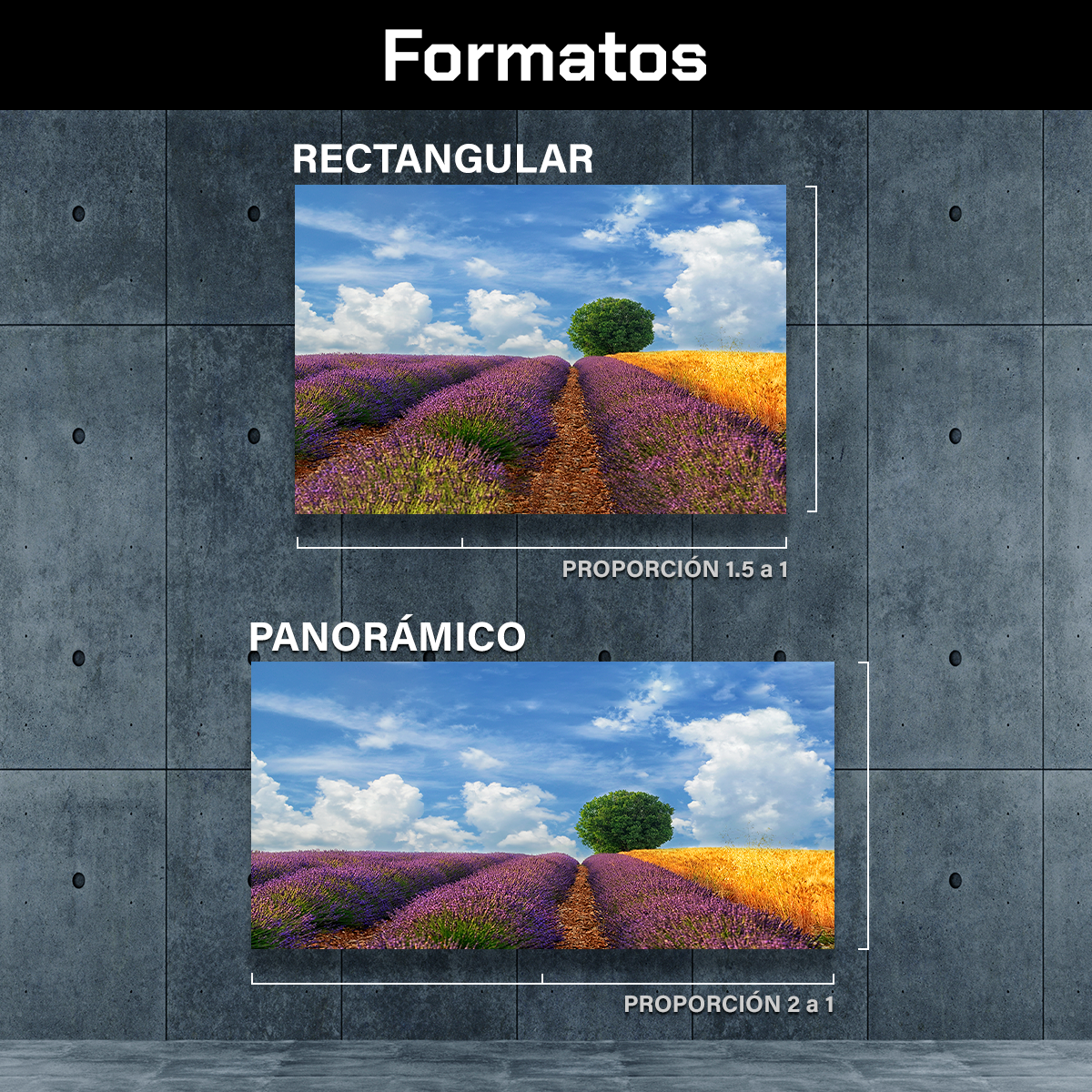 Campos Y Arbol