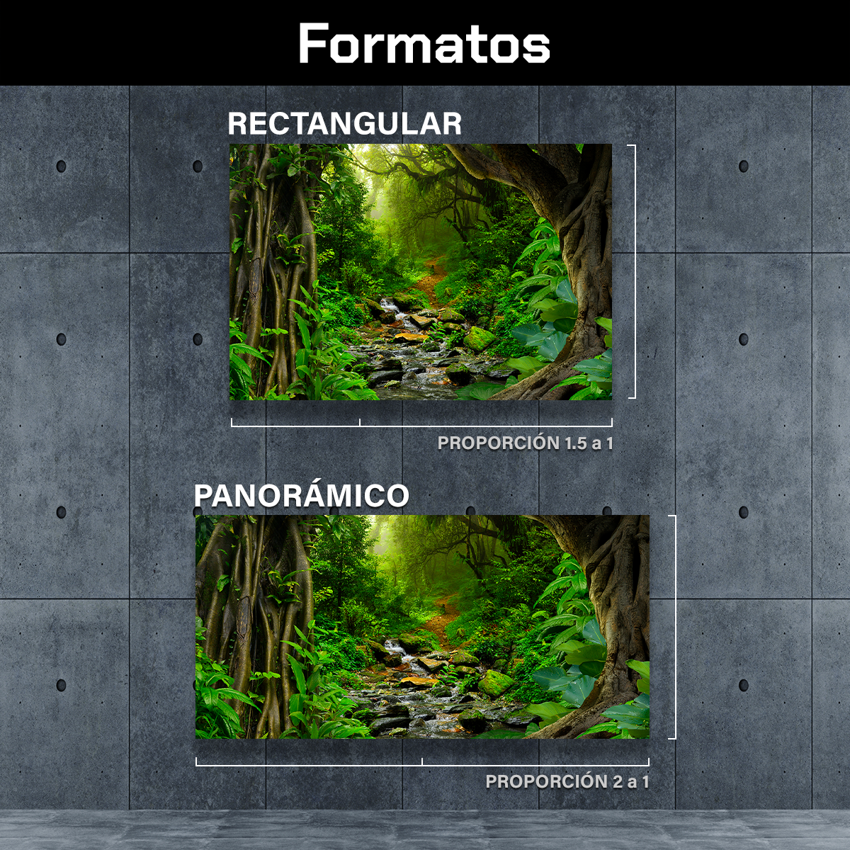 Bosque Tropical