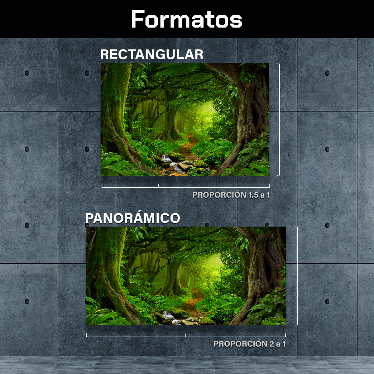 Bosque y Selva Tropical