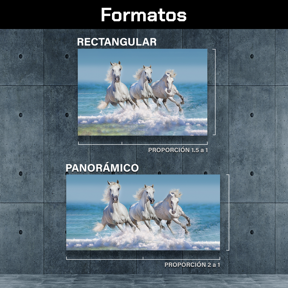 Caballos En La Playa