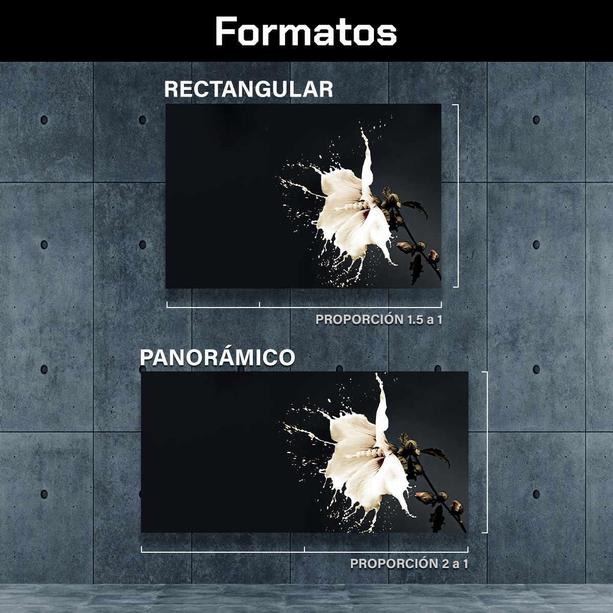 Flor Blanca de Pintura