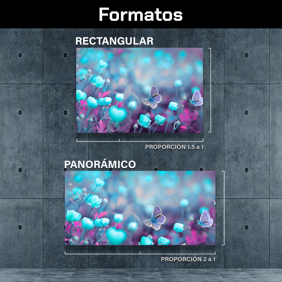 Flores Mariposas Azules