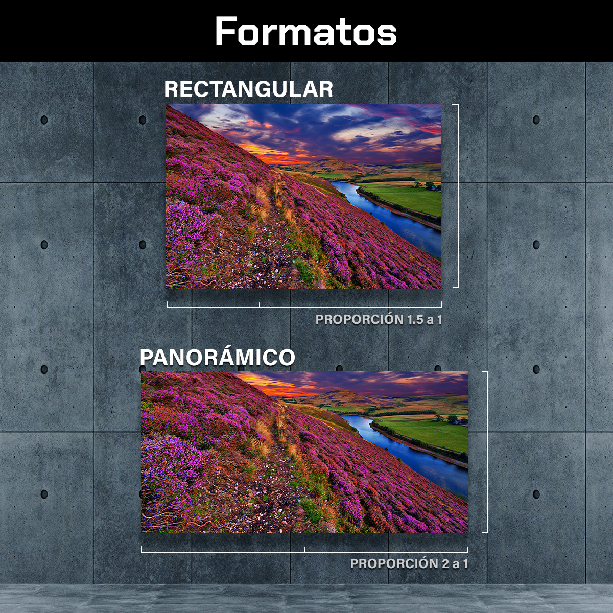 Montañas Escocesas Rosas