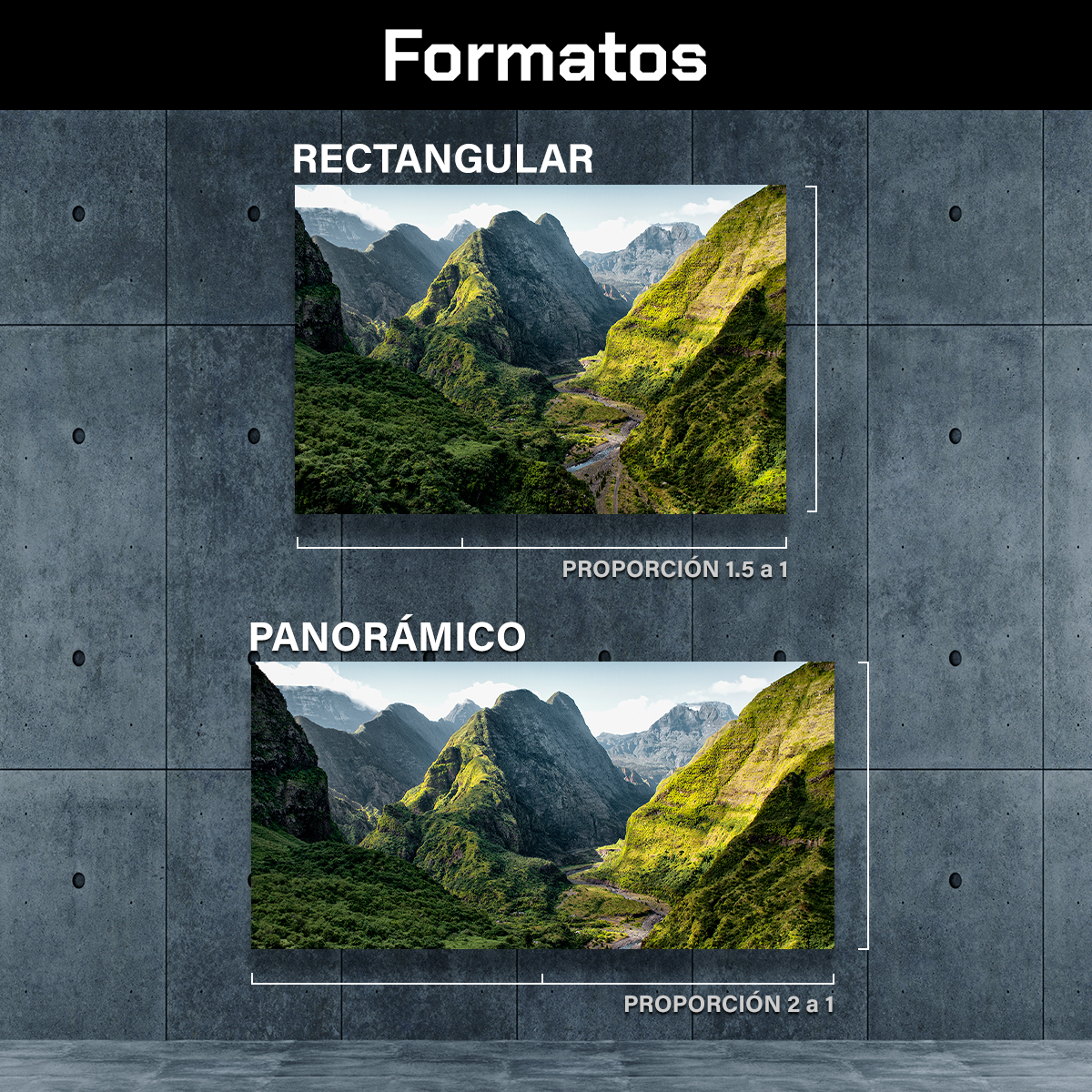 Montañas Rio Y Arboles