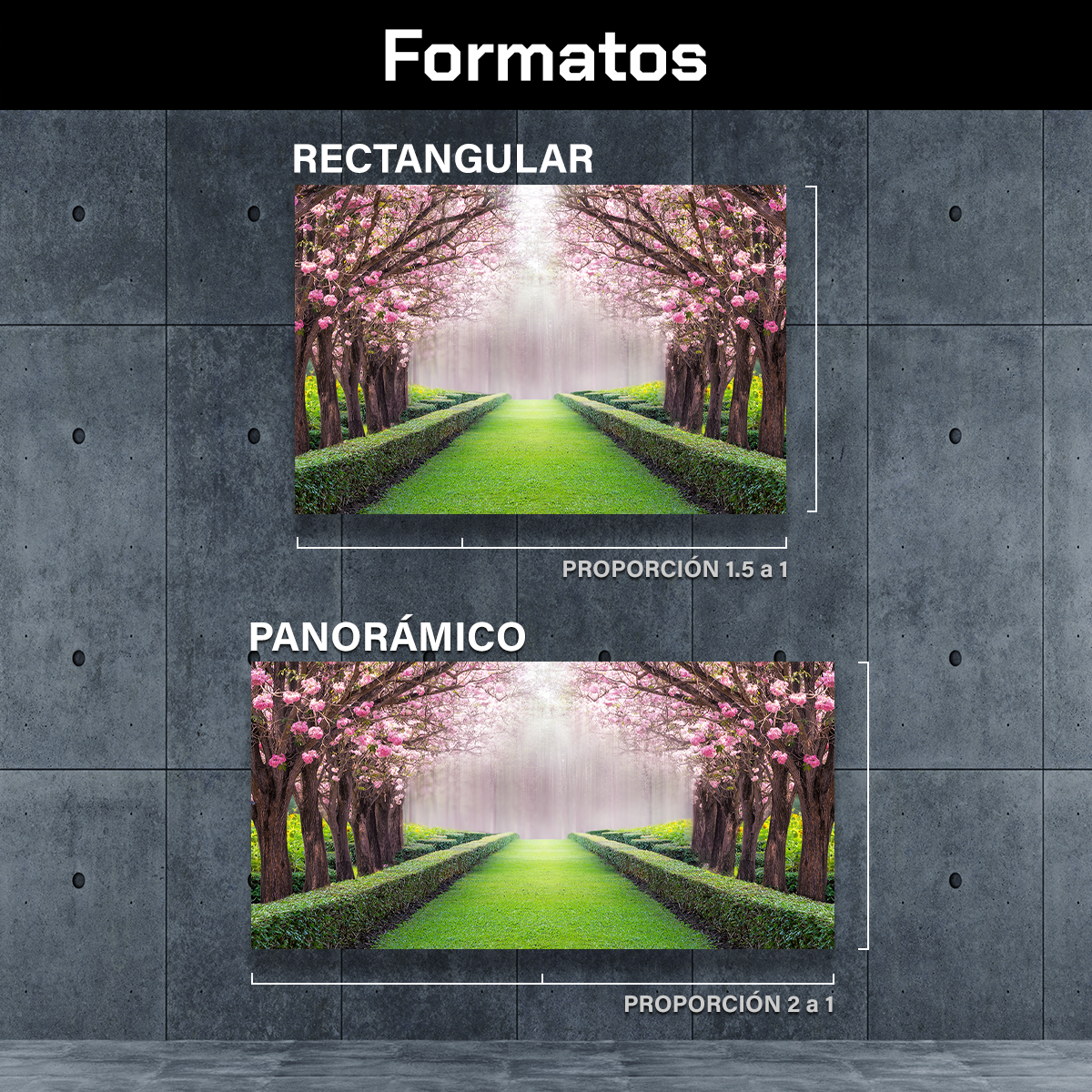 Tunel Romantico