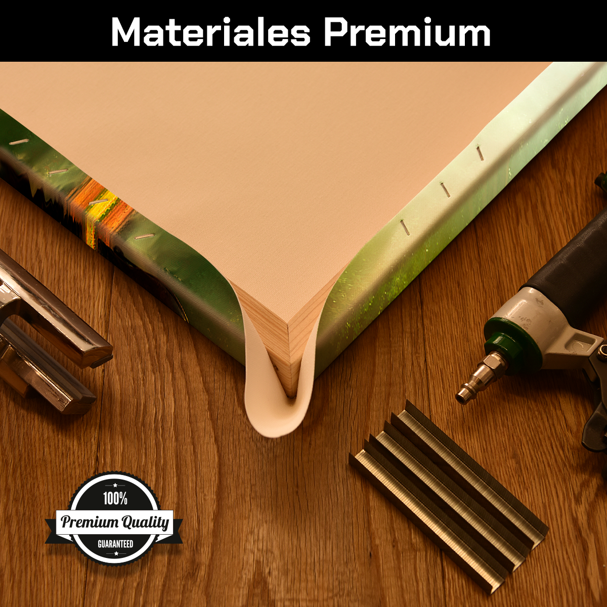 Monjes Y Elefante En Rio