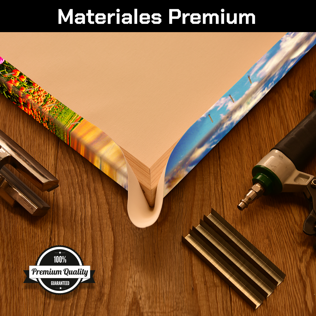 Campo De Tulipanes Rosados