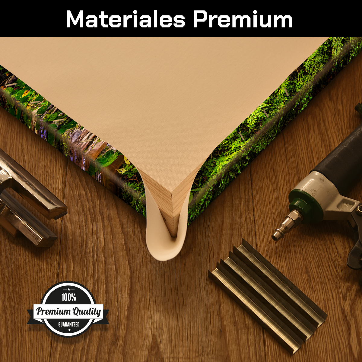 Cascada Sobre Piedras