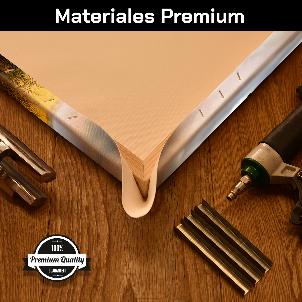 Elefante Entre Pastizal