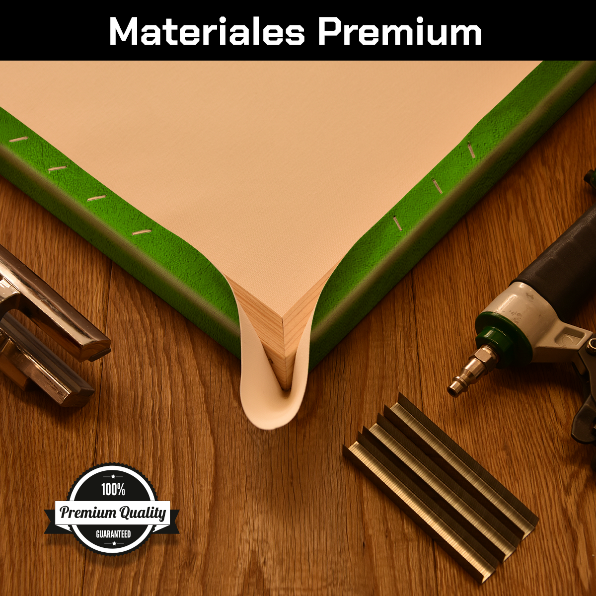 Tulipanes En Color Blanco