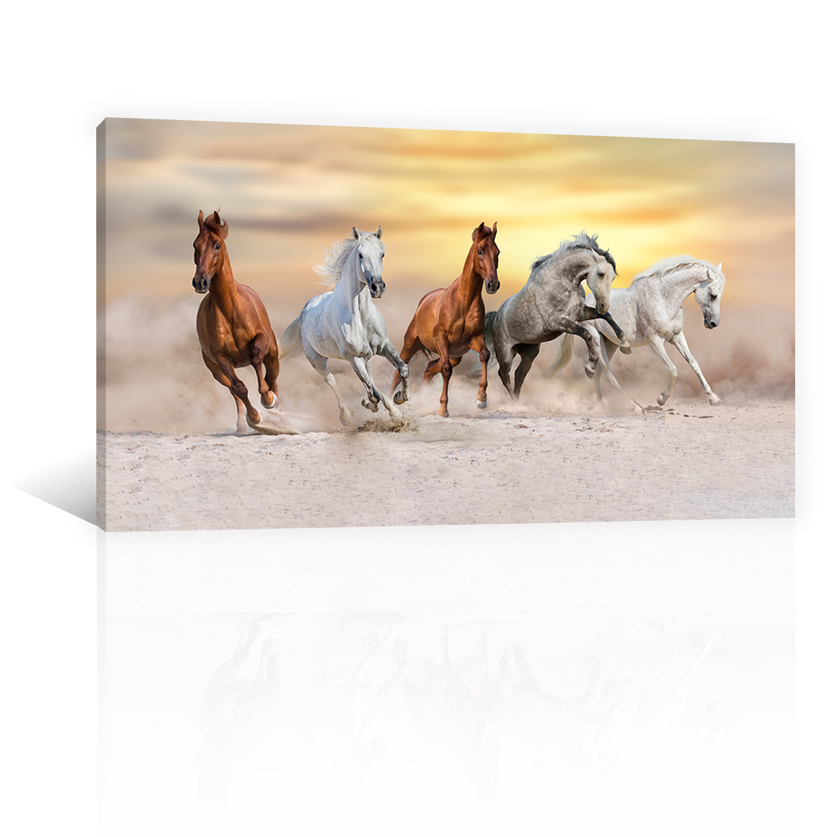 Caballos Bajo Al Atardecer
