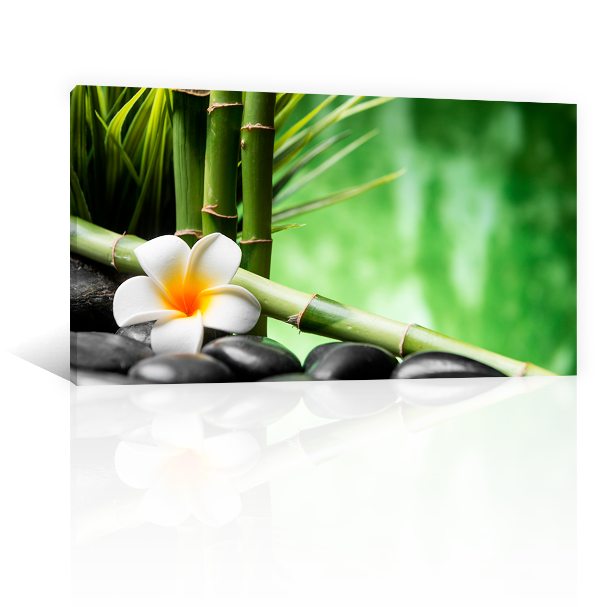 Bambu Y Flor Frangipani