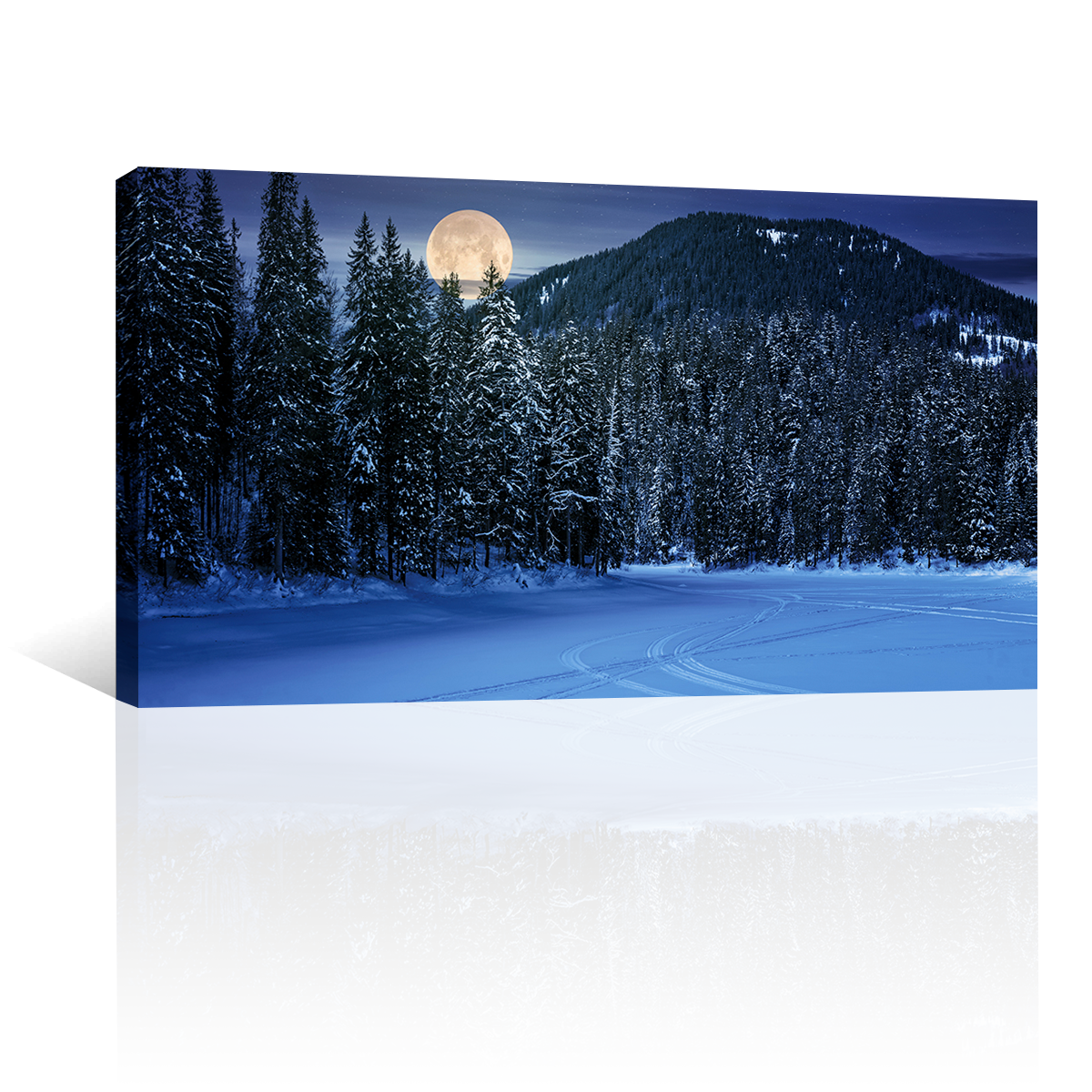 Bosque Noche Nieve Luna