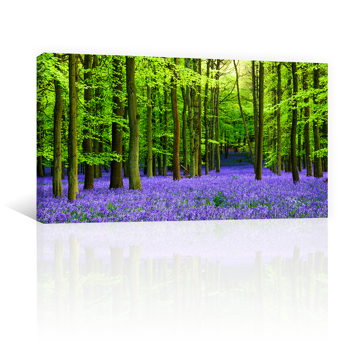 Bosque Vibrante